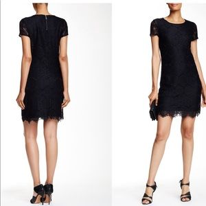 Laundry by Shelli Segal Short Sleeve Lace Shift Dress